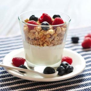 11484_yogurt-300x300.jpg