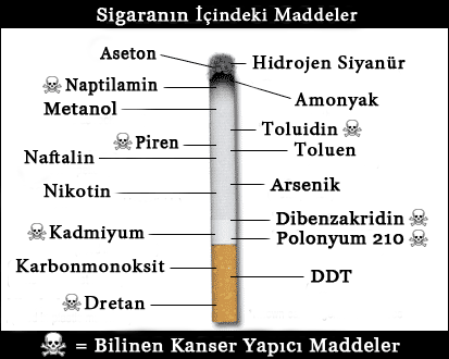 Sigara Kullaniminin Nedenleri Etkileri Ve Zararlari Bilgiustam