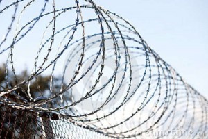 5255_coiled-barbed-wire-fence-13783565