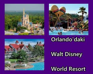 Orlando Daki Walt Disney World Resort Bilgiustam