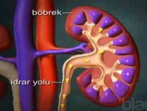 idrar yollarinda yanma dizuri nedir bilgiustam