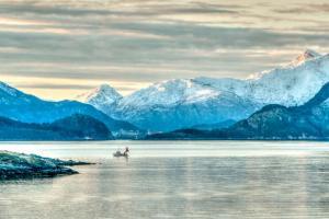 Norveç Denizi ve Balıkçılık